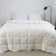 Одеяло полуторное ТЕП COTE BLANC SILK 1-00567_00000 155х200 см белое - изображение 1