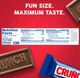 Шоколадные батончики Crunch Milk Chocolate and Crisped Rice Fun Size 283г - изображение 4