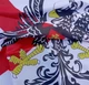 Флаг Испанской Империи эпохи Габсбургов 90х150 см - изображение 4