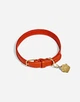 Парфуми для собак Dolce&Gabbana Fefé + нашийник M/L - изображение 2