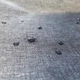 Термосумка Trizand 23842 20 л сіра з охолоджувальними вставками - зображення 8