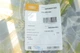 Решетка переднего бампера VW T5 03-09 DPA 88530941502 - изображение 2