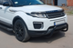 Кенгурятник WT005 Black (нерж) для Range Rover Evoque 2012-2018 рр - зображення 2