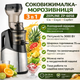 Соковижималка-морозивниця 3 в 1 для холодного вичавлювання, смузі, сорбет 3000 Вт Zep line ZP-6058 - зображення 1