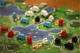 Настільна гра Karma Games Клани Каледонії COC (632556295564) - зображення 4