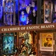 Декор для книжних полиць (букнук) ETKVR Chamber of Exotic Beasts - зображення 2