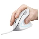 Мишка Trust Verto Ergonomic USB White (25133) - зображення 6