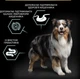 Сухой корм Purina PRO PLAN Medium Adult 1+ Sensitive Digestion для взрослых собак средних пород с чувствительным пищеварением, с ягненком 3 кг (7613035214798) - изображение 6
