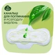 Гігієнічні прокладки Naturella Classic Maxi 16 шт (4015400318026) - изображение 3
