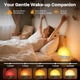 Світловий будильник Wake Up Light BL50 з імітацією сходу із поступовим збільшенням яскравості - зображення 6