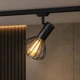 Светильник трековый MSK Electric Lotus в стиле лофт NT 14151-1 BK - изображение 1