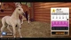 Ключ активации Rival Stars Horse Racing для Xbox One/Series S/X - изображение 7