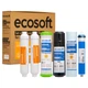 Комплект картриджей Ecosoft Absolute "12 месяцев" (CHV6ECOABS) - изображение 1