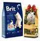 Сухий корм з куркою Brit Premium Kitten Бріт Преміум для кошенят 8 кг + наповнювач в подарунок (8595602553198) - изображение 1