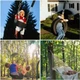 Крепление Trizand 23597 для гамака/качели до 150 кг - изображение 2