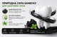 Отбеливающая зубная паста с бамбуковым углем YAYASHI Bamboo Charcoal от кариеса и зубного налета и камня (бамбук и мята) 100 ml - изображение 3
