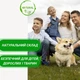 Аромасаше «Камелия» для дома FloreBliss, 48 штук - изображение 5