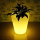 Нічник-горщик RIAS Garden Light Vase з підсвіткою LED White (3_08186) - зображення 6