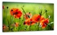 Картина на холсте MAKO Poppies Field Green с часами 30×53 см бесшумный плавный ход кварцевый механизм 3053-054 - изображение 1