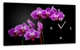 Картина на холсте MAKO Orchid Purple Black с часами 30×53 см бесшумный плавный ход кварцевый механизм 3053-034 - изображение 1