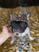Одежда Hat-Dog Панама из вельвета для собак, лео ХS (HDLE0001::590) - изображение 3