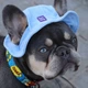 Одежда Hat-Dog Панама из вельвета для собак, голубая M (hdp0000b::149) - изображение 3