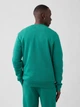 Спортивный костюм мужской GAP 479272257 M Зеленый (1159861440) - изображение 5