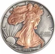Колекційна срібна монета "Американський Орел Liberty GILDED" 31,1 г 2019 рік - изображение 1
