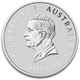 Колекційна срібна монета “Australian Brumby - Австралійський дикий кінь ” 31,1 г 2025 рік - зображення 3