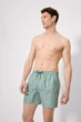 Шорти Ysabel Mora 56(3XL) Зелений-смужка (Pine Green) (115969) - зображення 3