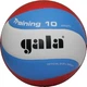 М'яч волейбольний Gala Training 10, розмір 5 - изображение 1