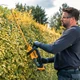 Кущоріз акумуляторний DeWALT (DCMHT562P1) - зображення 9