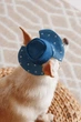 Панама Pet Fashion Stars для собак XS 4823082446131 - зображення 5