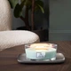 Ароматична свічка в склі Woodwick Ellipse Sagewood & Seagrass 453 г (1728630E) - зображення 4