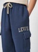 Подростковые спортивные штаны-джоггеры для мальчика Levi`s 9EN651-UF3 170-176 см Синие (3666643181734) - изображение 4