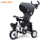 Велосипед BABYJOEY British TT56 дитячий триколісний складаний, для 1-5 років - зображення 1