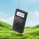 Портативний радіоприймач Hoco HI51 FM радіо |BT5.3/TF/FM/AM/AUX, 3.5h| - зображення 3