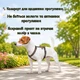 Шлея анатомічна WAUDOG Nylon Леопард для собак нейлонова H-подібна шлея з QR адресником розмір S ширина шлеї 15 мм обхват шиї 30–45 см грудей 36–45 см - зображення 4