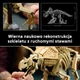 Zestaw klocków LEGO Jurassic World Szkielety dinozaurów: triceratops 1154 elementy (77985) - obraz 5