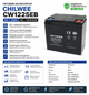 Тяговая аккумуляторная батарея (GEL+Graphene) CHILWEE CW1225EB 12V25Ah - изображение 2