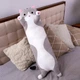 Мягкая игрушка-обнимашка Кот Батон 150 см • Плюшевая подушка-антистресс • Серый - изображение 6