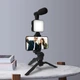 Комплект для влогинга Video-Making Kit AY49 для смартфона с переходником Type-C, 4в1 - изображение 4