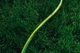Армированный садовый шланг для полива 12 м многослойный 3 слоя из ПВХ 2Е AquaFlex Green 1/2″ Трехслойный шланг для сада и дачи давление до 5 бар Зеленый с желтой полоской - изображение 5