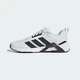 Чоловічі Кросівки Dropset Control adidas JS3118 44.5 (10 UK) білий (4068801036518) - зображення 7