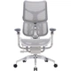 Кресло офисное Sihoo Doro S300 Mesh Light Grey (S300-M202) - изображение 1