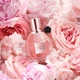 Парфумована вода для жінок Viktor & Rolf Flowerbomb 30 мл - зображення 3