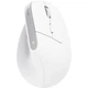 Миша Trust Bayo+ Ergonomic Wireless/Bluetooth (ek11752) - зображення 2