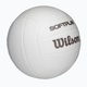 Волейбольний М'яч Wilson Soft Play(WV4008801XBOF) 5 - зображення 2