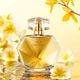 Парфюмерная вода Avon Eve Confidence, 50 мл - изображение 4