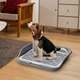 Туалет со столбиком Taotaopets 2210030 Gray для собак щенков мелких пород - изображение 2